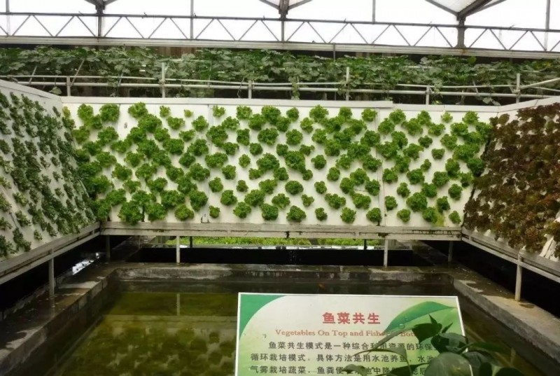 设施农业17