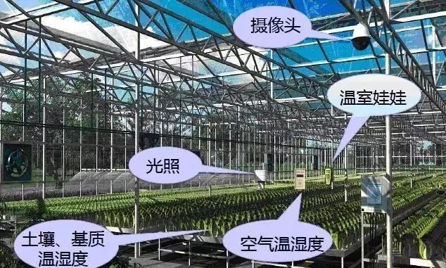 设施农业19