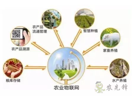 为农业插上翅膀,物联网引领下一个农业时代!