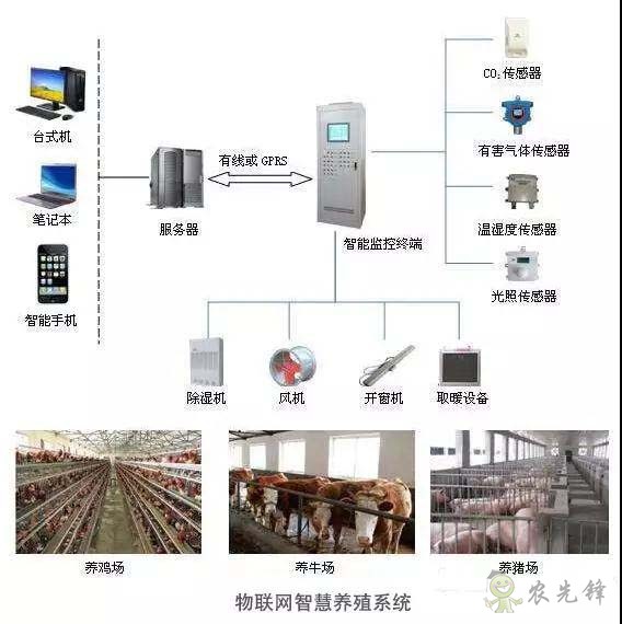 物联网在智慧养殖监控系统应用