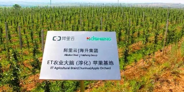 未来农业价值可期!阿里、京东、华为,碧桂园纷纷发力数字农业