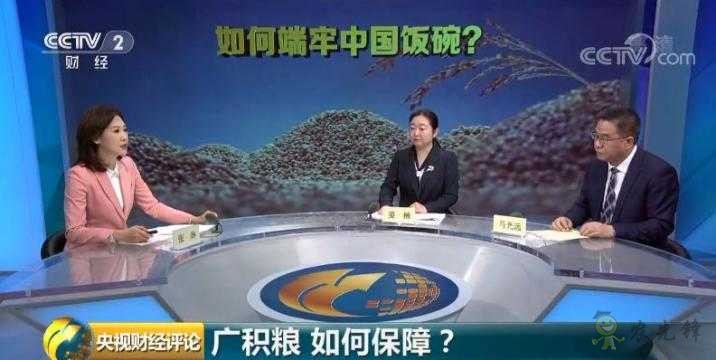 时隔23年,中国再次发表粮食白皮书!释放哪些新信号?