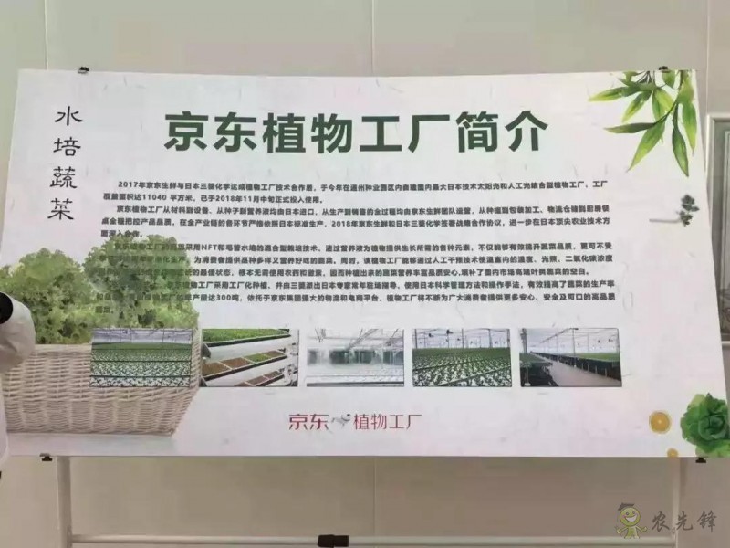 京东的这些“网红”农业项目,你都知道吗?