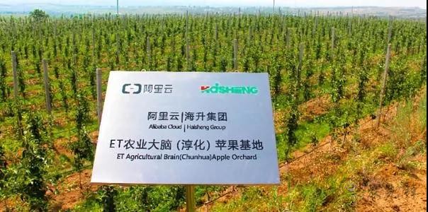 看数字农业如何为中国农业开展新道路