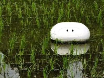 Aigamo 机器人也正是以「合鸭」这种经典育培种稻田鸭而命名，整个机器人重约 1.5 公斤，大小和我们常见的扫地机器人类似，但是整体要轻上不少（毕竟要浮在水面上），用下侧的两个旋转橡胶刷来代替鸭子的脚，通过它们的搅拌让水稻吸收养分和水分。