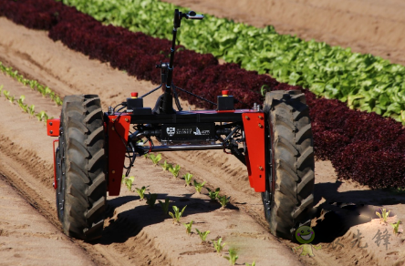 Agerris现场机器人技术初创公司获巨额投资 助力提高农业生产