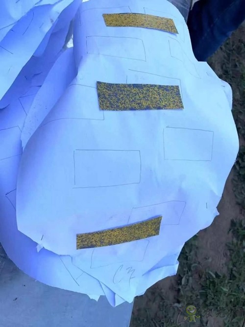 林重意:越南农业植保飞防服务