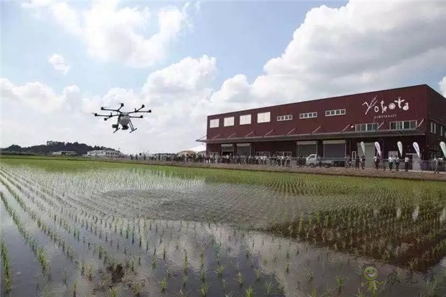 带你回顾2019 DJI 大疆农业