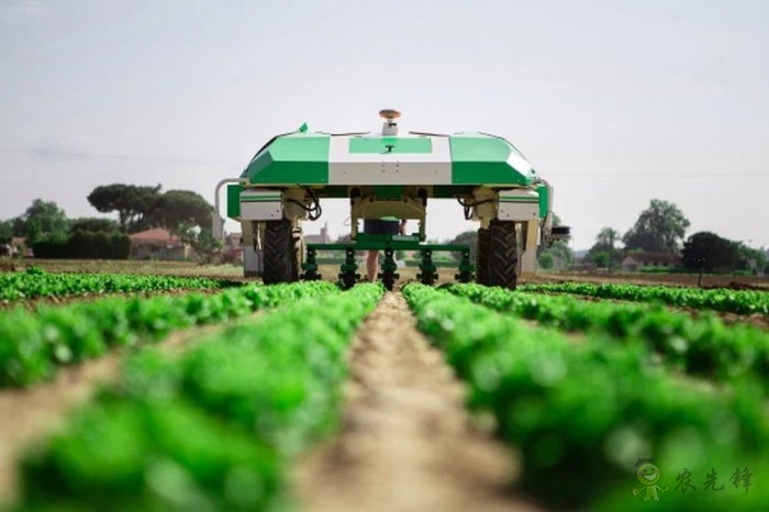 2019年中国农业科技进步贡献率达到59.2% 取得明显成效