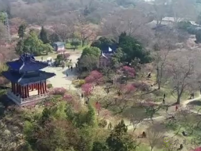 樊祥成:新冠肺炎疫情给农业农村发展带来的困难只是暂时的