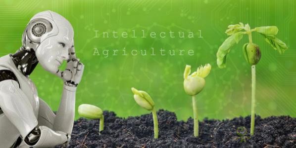 传统农业拥抱人工智能 推动了智慧农业的发展