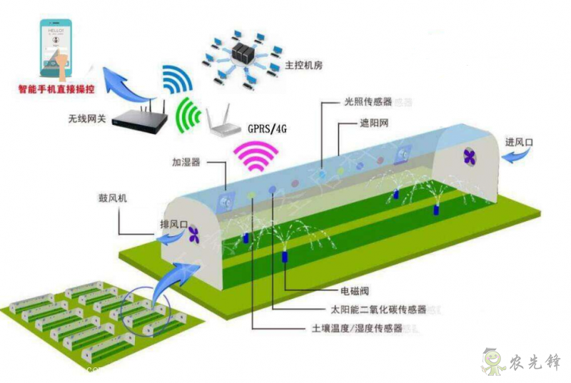 给农业大棚装上物联网无线传感器