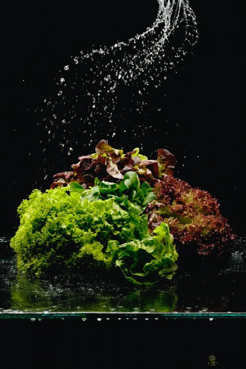 口感营养不输地球蔬菜的太空蔬菜