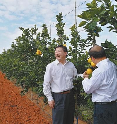国家现代农业(柑橘)首席科学家邓秀新数十年助力农民增收