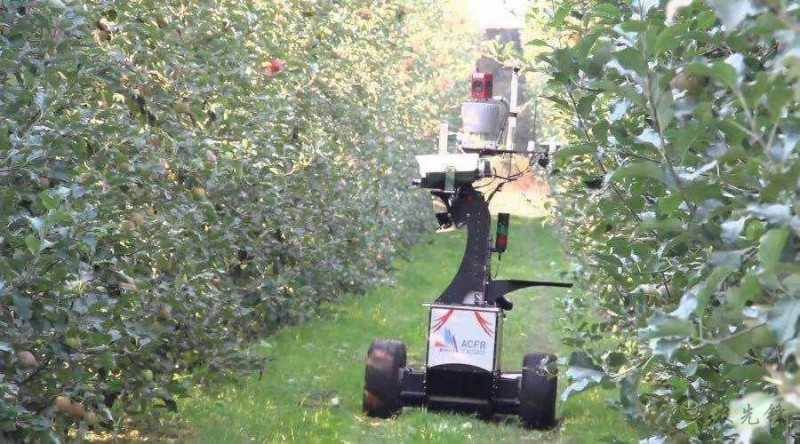 农业机器人走进果园