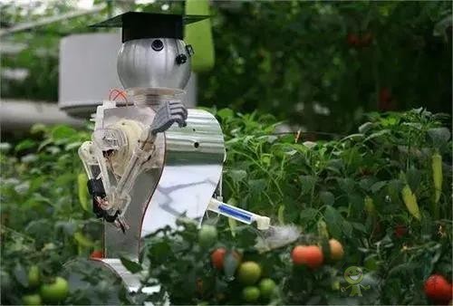  农业机器人走进果园