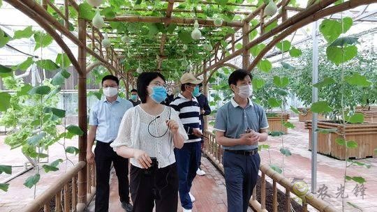 四川泸州现代农业：农旅项目