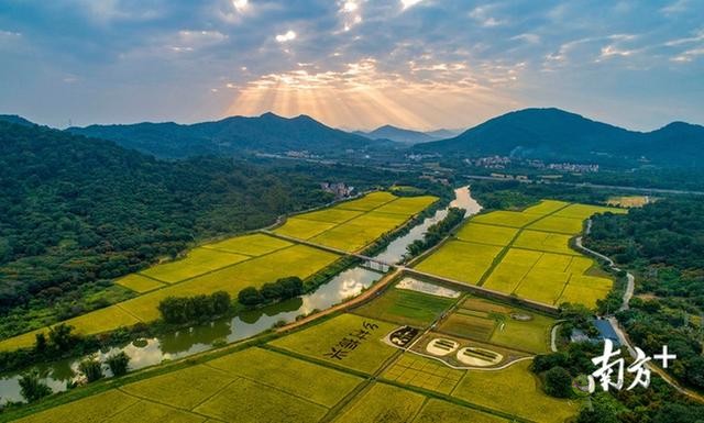 11个现代农业项目在广州从化动工