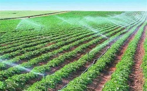 以色列农业
