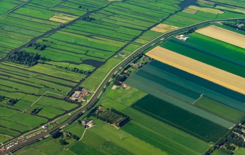 荷兰农业