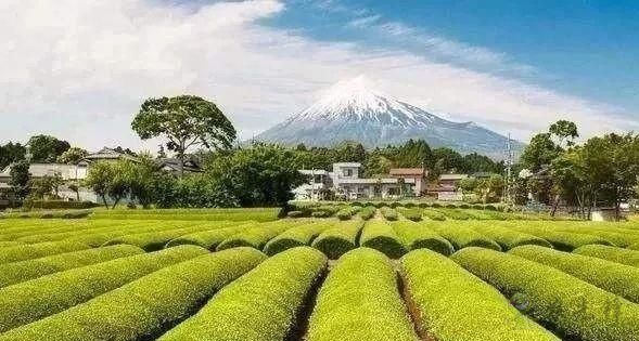 日本农业