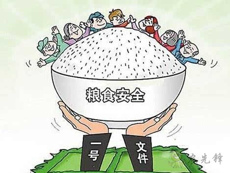 粮食安全