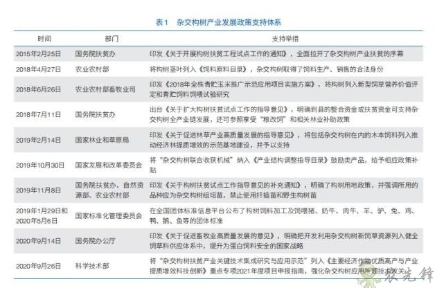 “以树代粮”再迎政策助力,小构树孕育大产业