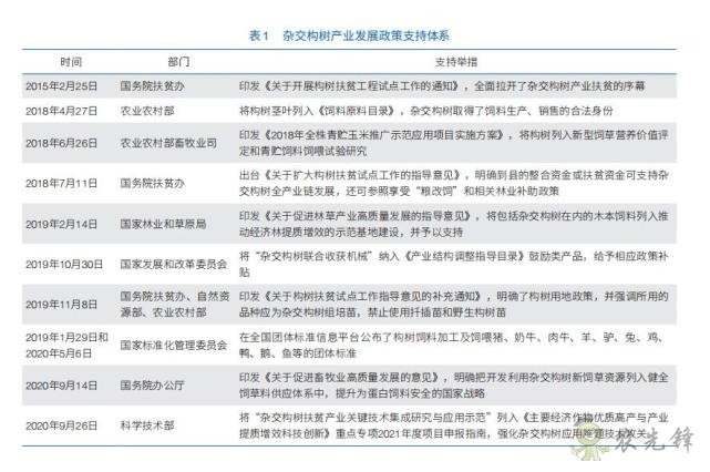 “以树代粮”再迎政策助力，小构树孕育大产业