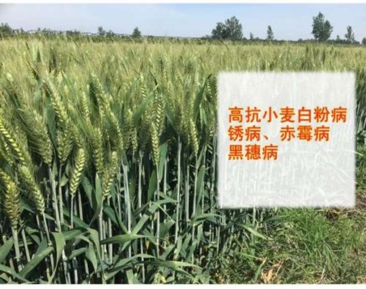 农业科普