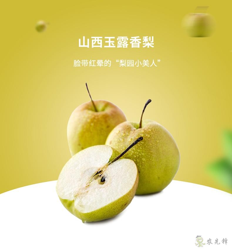 地方新闻