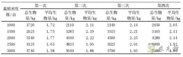杂交构树