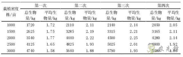 杂交构树