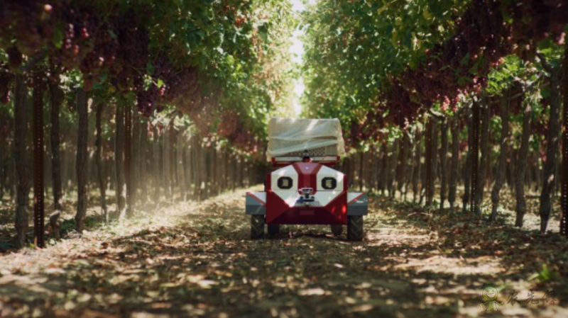 Carry——农作物运输机器人