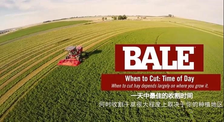 一天中较佳的割草时间是什么时候?