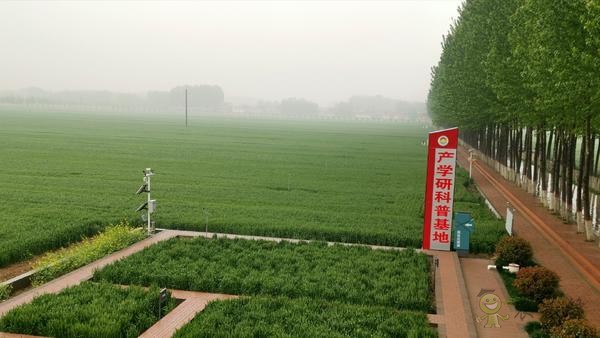 河南尉氏县:5G+智慧农业 农田里有了这些“黑科技”