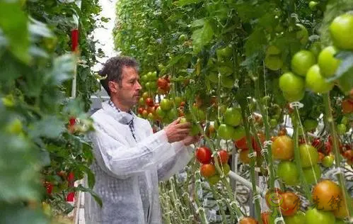 以色列农业对中国农业创新的启示