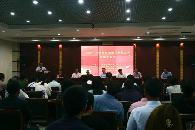 高效果菜新优品种品鉴交流会举行,一批优质新品种有望走上市民餐桌