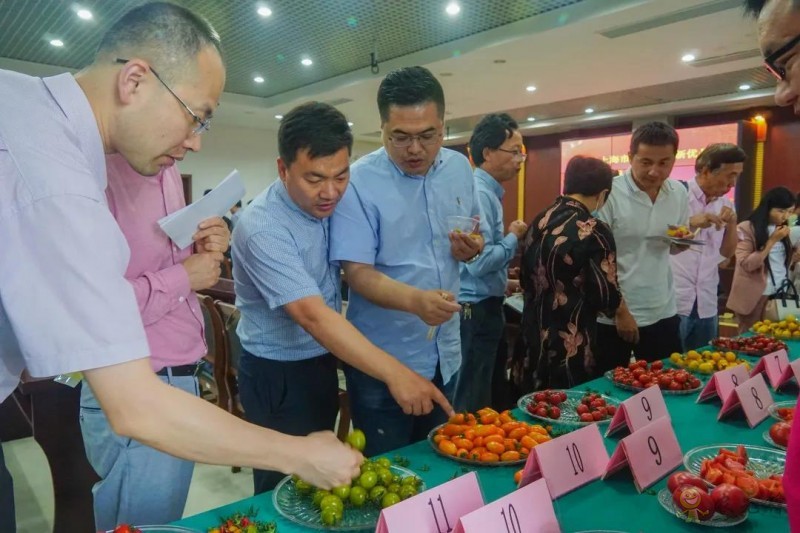 高效果菜新优品种品鉴交流会举行,一批优质新品种有望走上市民餐桌