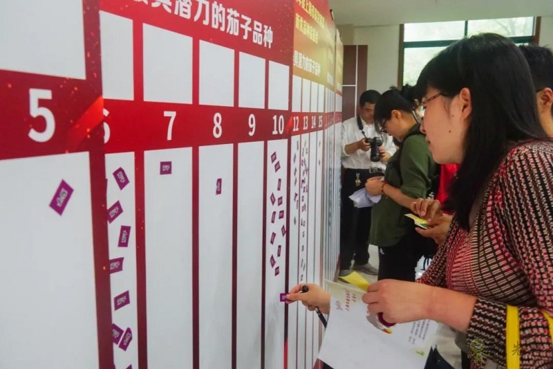 高效果菜新优品种品鉴交流会举行,一批优质新品种有望走上市民餐桌