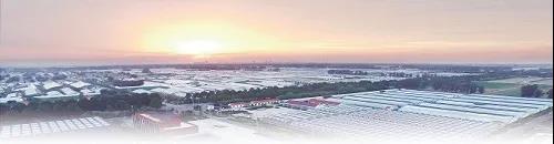 乡村振兴,寿光答卷