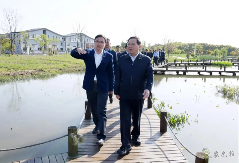 上海市委书记李强谈乡村振兴:三个价值、三个空间、三个趋势