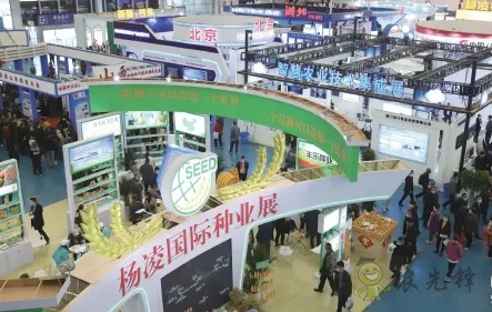 杨凌:强化使命担当 交好“上合答卷”
