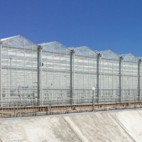 智能玻璃温室 潍坊现代科技农业生态园