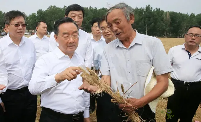 唐仁健部长：今年夏粮再获丰收！多地机收损耗降低1个百分点以上！