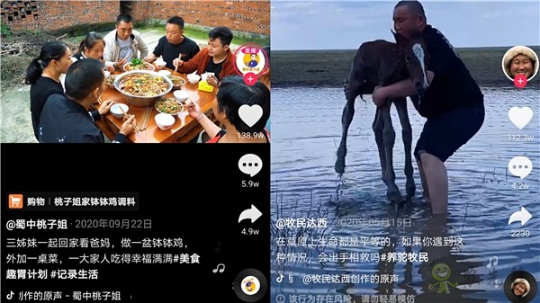 抖音发布首份三农数据报告 农村生活和美食内容最受欢迎