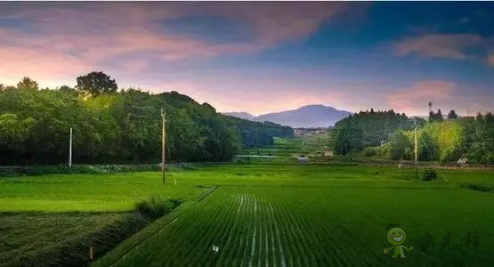 日本农产品自给率下降,粮食安全排名却上升