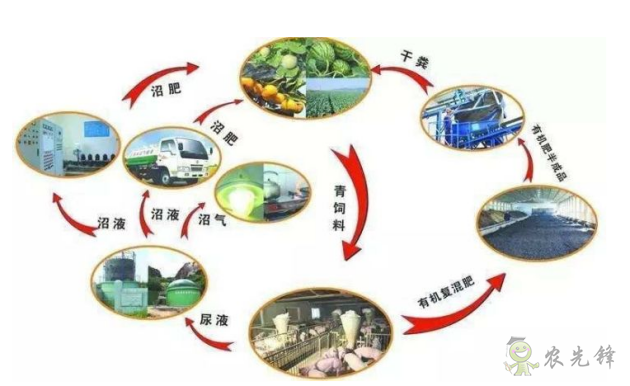 “深农会”为您讲述中国农业发展史下的生态农业