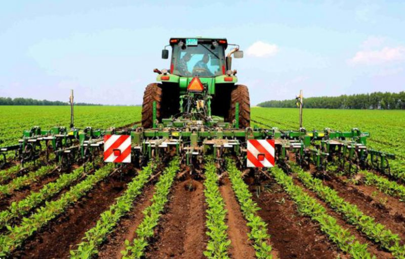 正在进行有机大豆田间除草作业的智能除草机器人