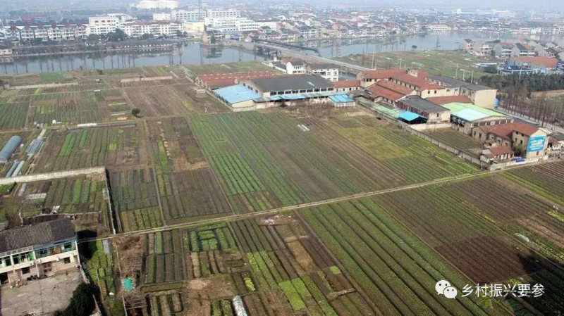 贺雪峰:未来十五年乡村振兴的时空维度、社会条件及预测