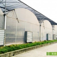 自然光型植物工厂工程建造服务